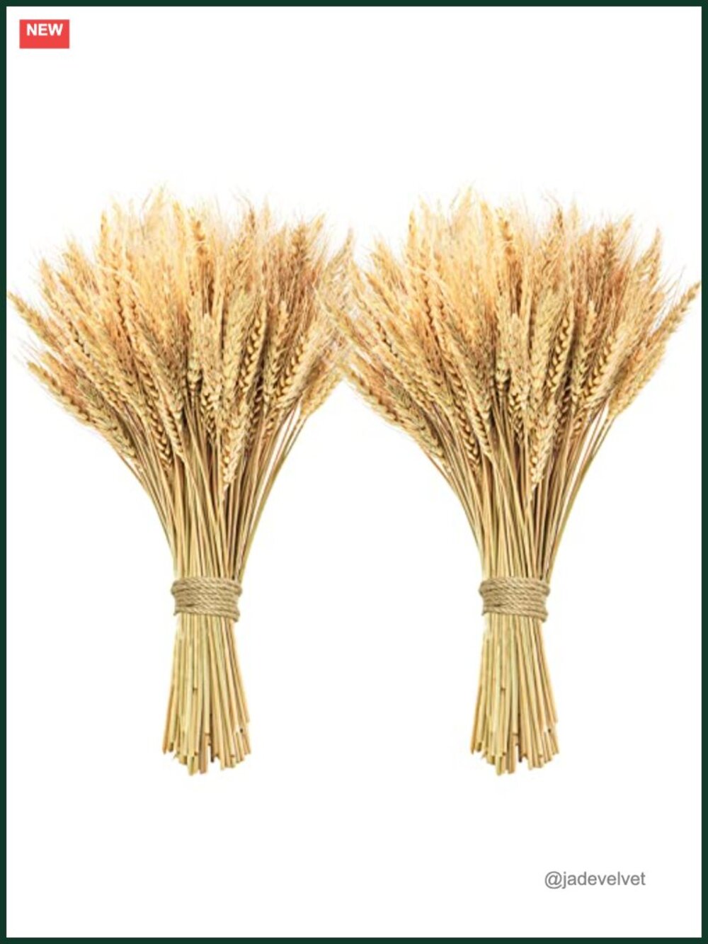 200 Pcs Dried Wheat Stalks Natural Wheat Home Kitchen Office Flower Arrangement